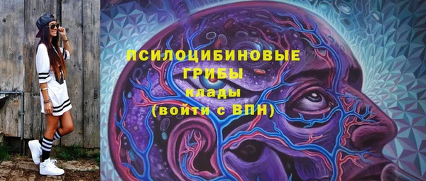 spice Абаза